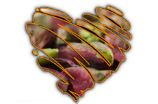 Pesti e creme artigianali