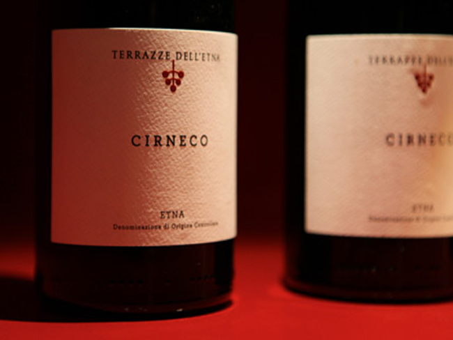 Cirneco rosso Etna D.O.C.