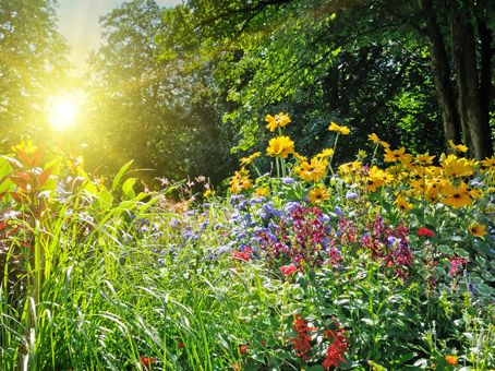 Millefiori Sicilian Honey